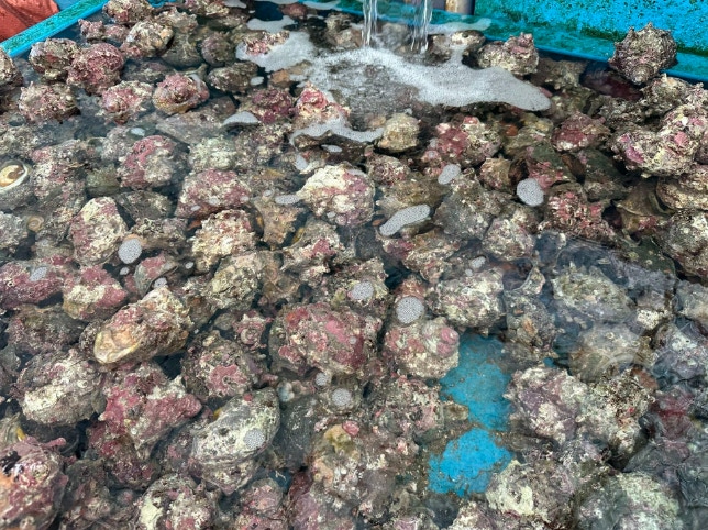 곰막식당 - 이미지 2