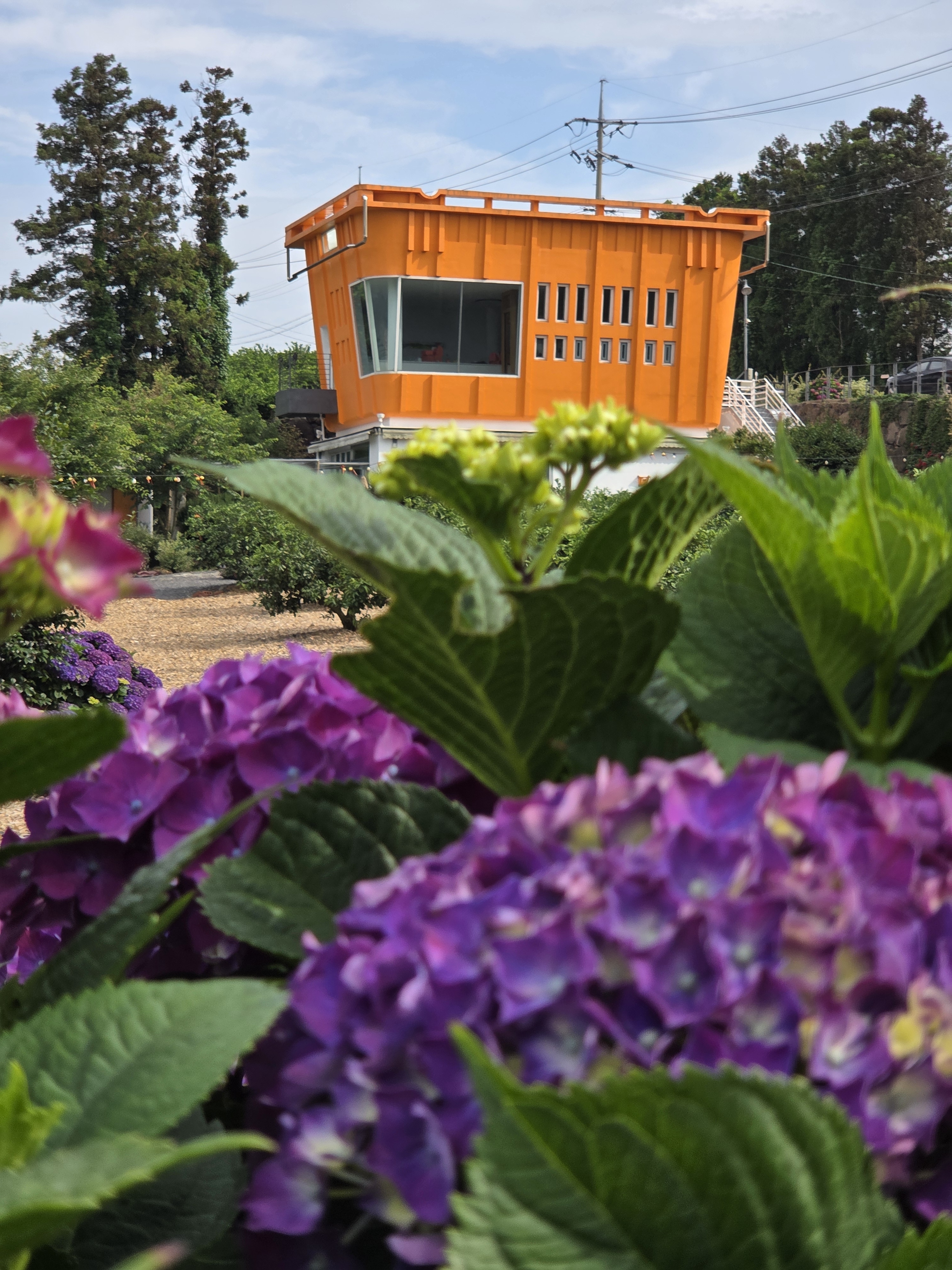 카페 더 콘테나 제주